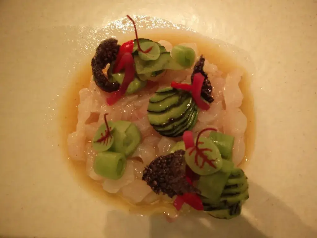 Stephane Vermeulen_Bachtekerke_Deinze_review