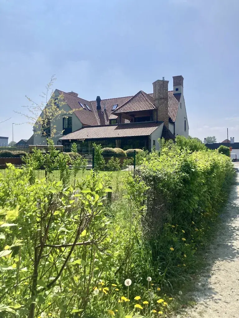 L D M_Bossuzanne_Liedekerke_review