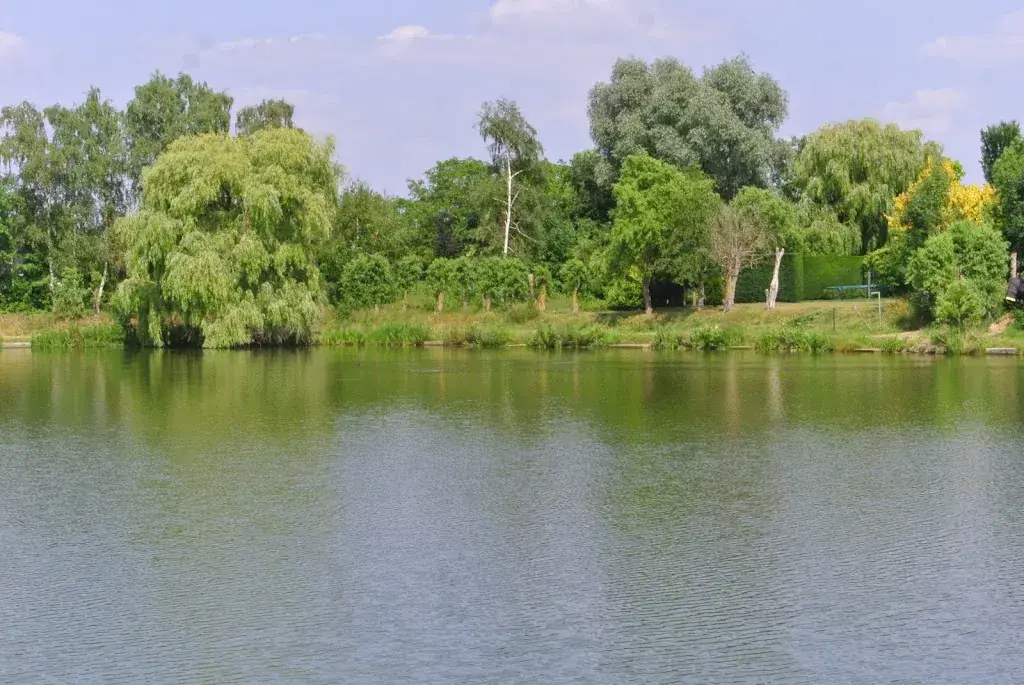 De Mandelvijver_Dentergem_slider_image_3