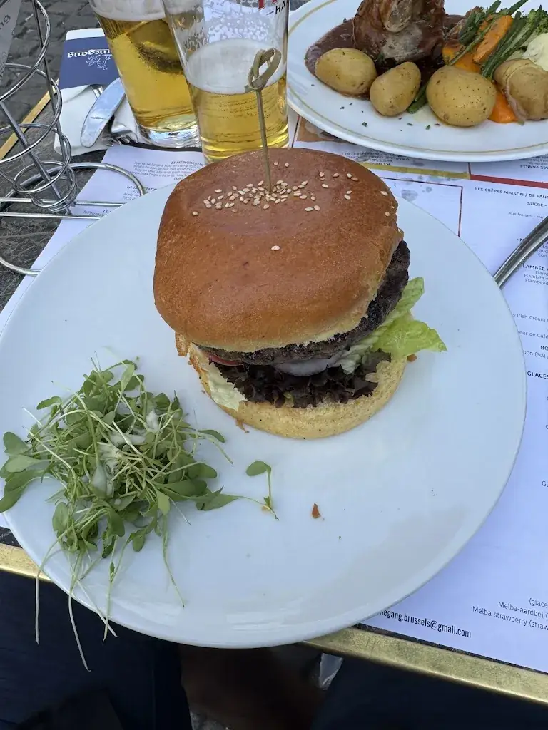 Saman Pezeshki_Brasserie Ommegang_Bruxelles_review