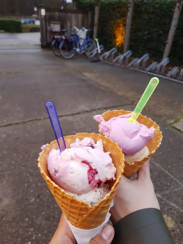 Menü_Tomtom Ijs_Dessel_Bild_7