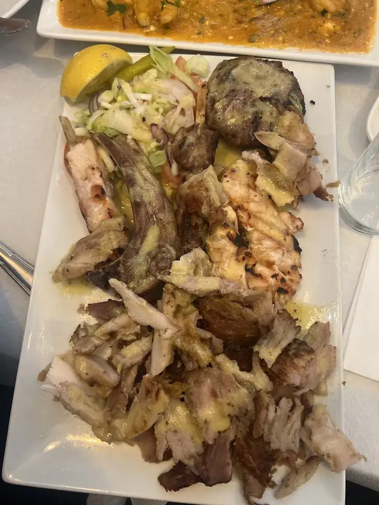 IRIS ZEQAJ_Galini_Antwerpen_review