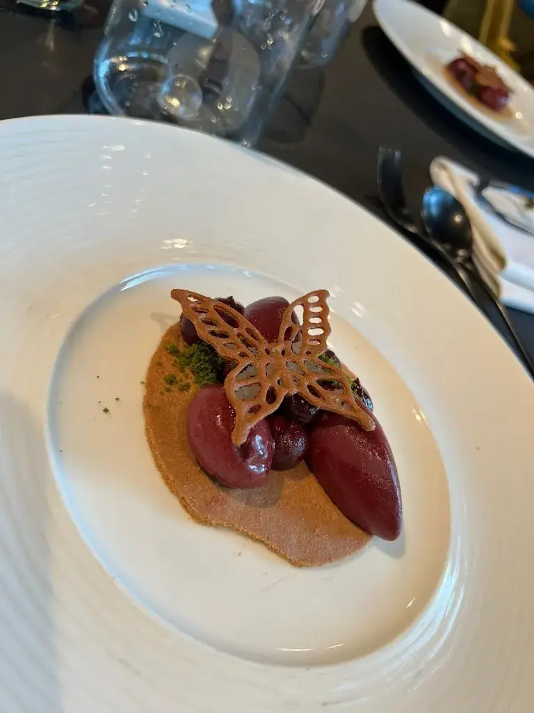 Lili Tack_Lef_Destelbergen_review