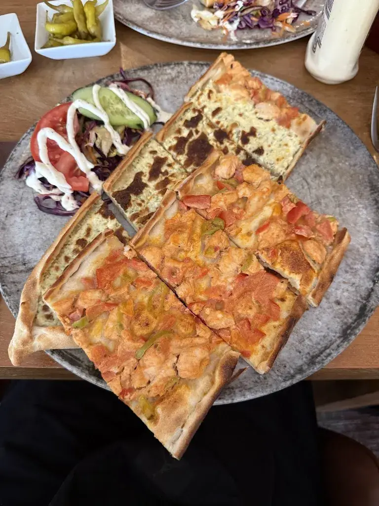 Siddharth K_Dedeoglu_Gent_avis