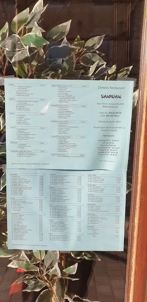 Menu_Shanghai_Diksmuide_image_3