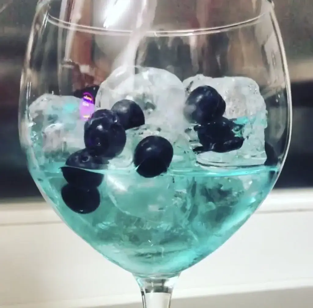 Menü_Rosa Negra / Sombrero Bar_Diest_Bild_6