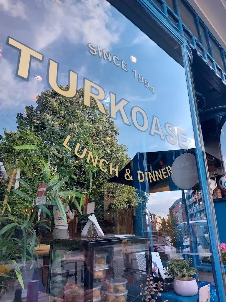 Jan Devue_Turkoase_Diest_avis