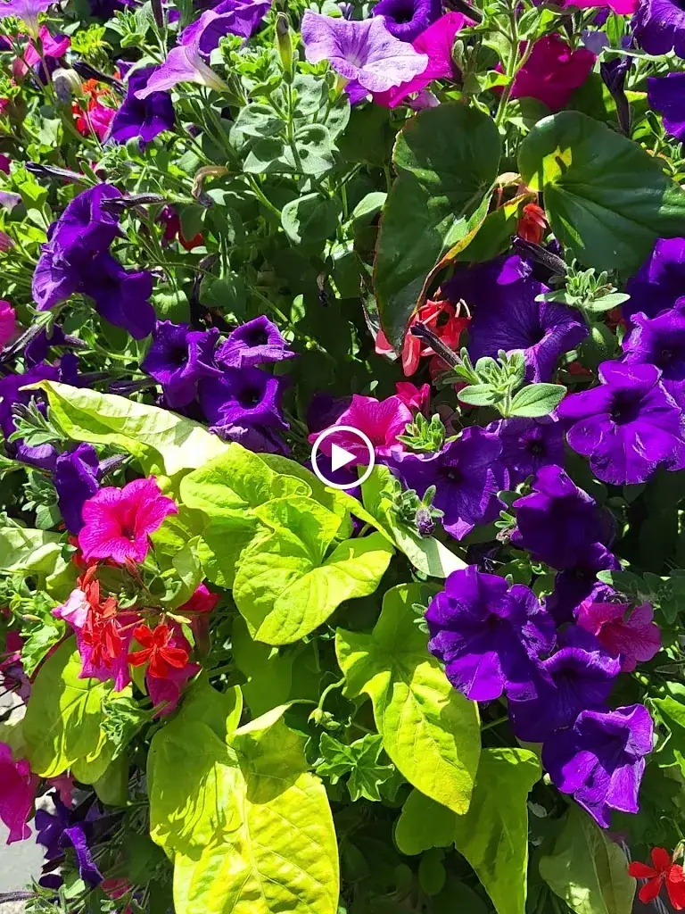 Turkoase_Diest_slider_image_2