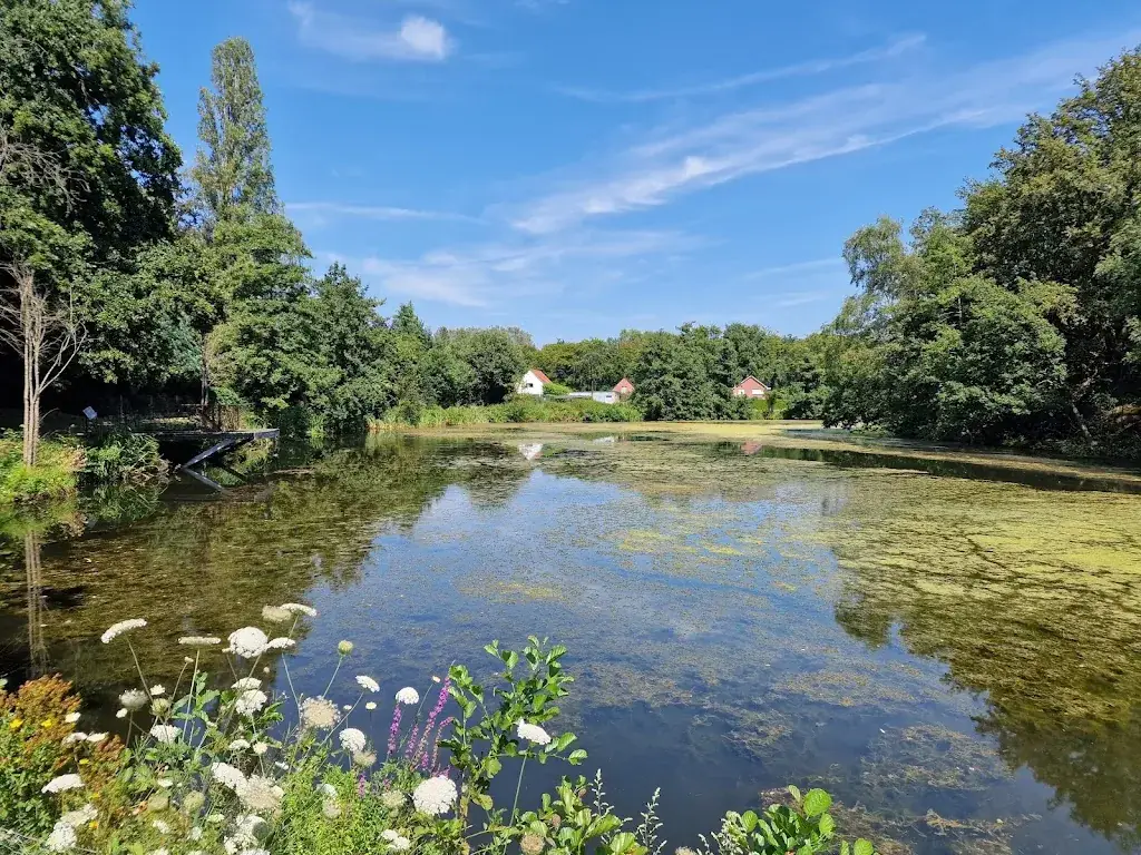 Otilia-Elena Platon_JEC De Krone_Duffel_review