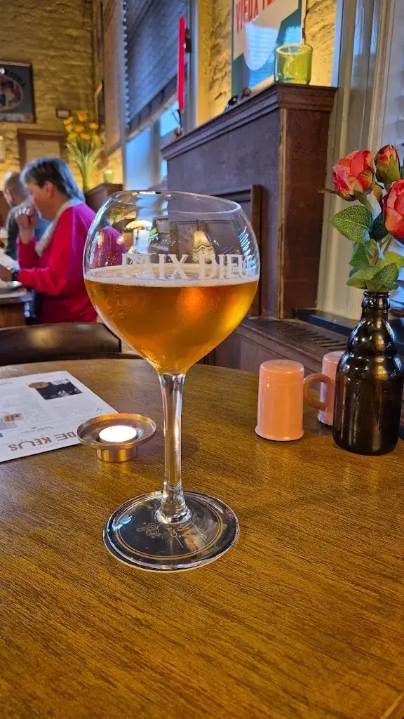 Patrick Van Dessel_Den ouden Burgemeester_Sint-Katelijne-Waver_review