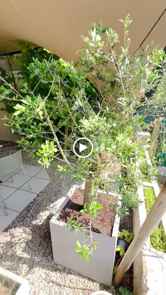 L'Arfineo Resto_Dilbeek_slider_image_2