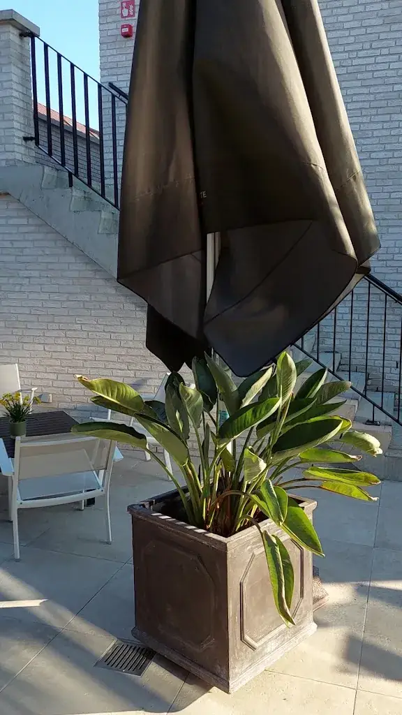 Bistro De Orangerie Evergem_Evergem_slider_image_2