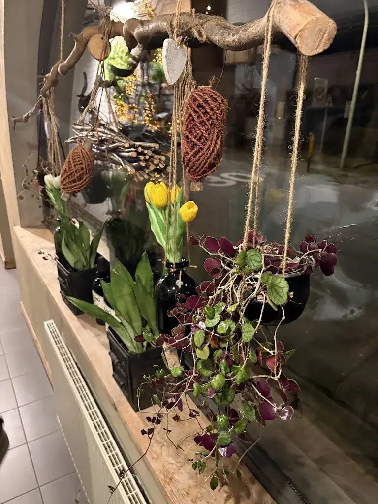 Jari Debruyn_De Cluysenaer_Evergem_review