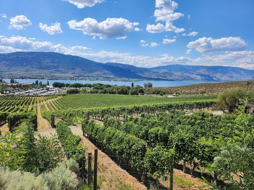 Nk'Mip Cellars restaurante en Osoyoos