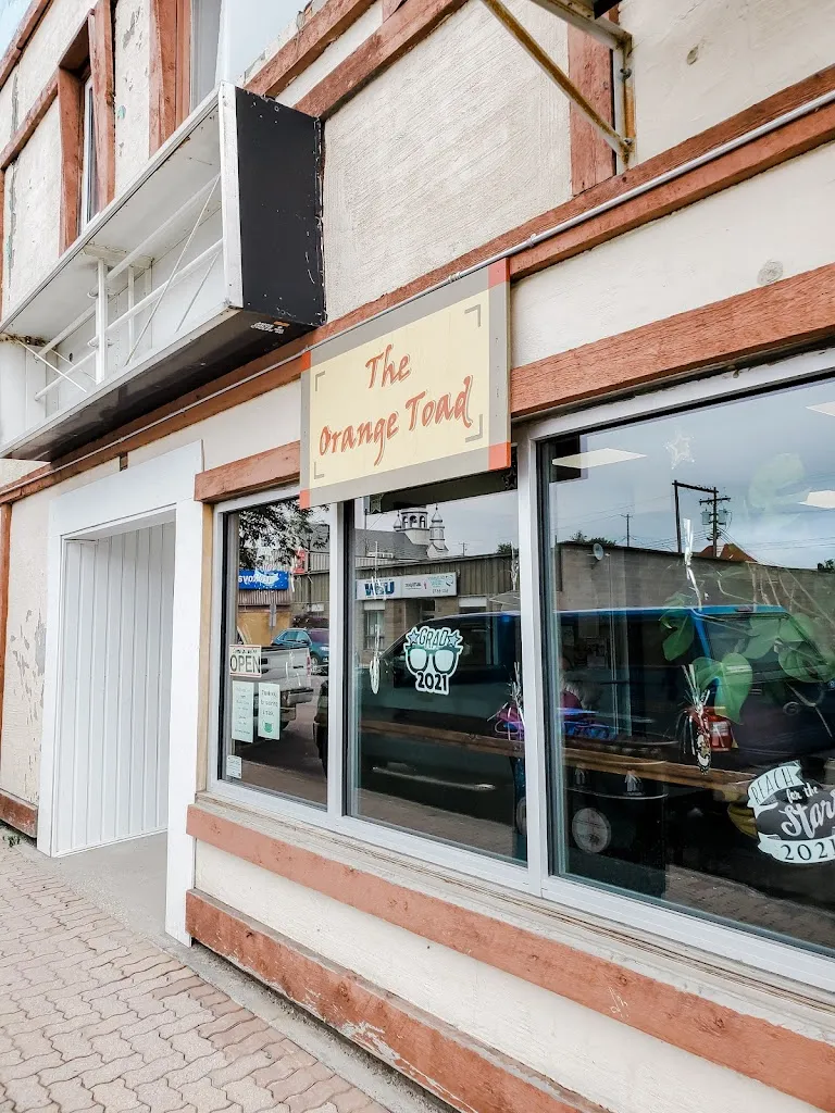 Sharnell Wiens_Orange Toad, The_Flin Flon_review