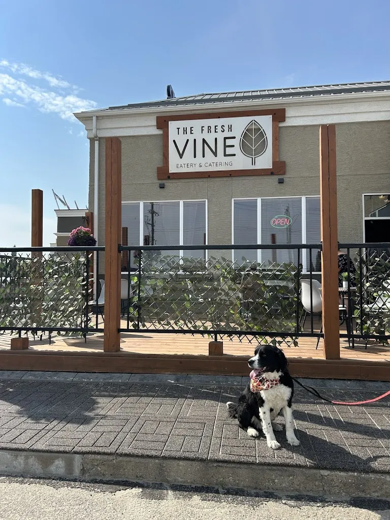 The Fresh Vine Eatery & Catering restaurante en Edson