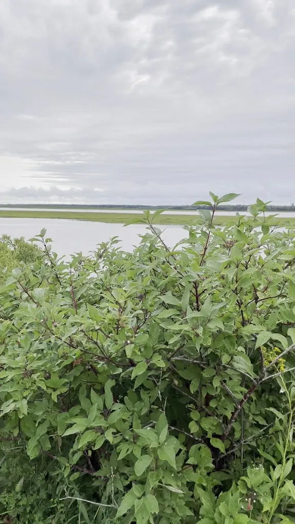 Moosonee Lilypad_Moosonee_slider_image_2