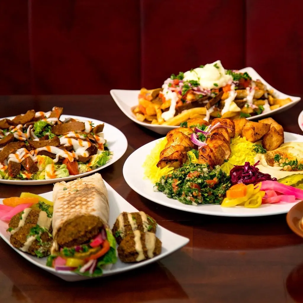 Maglicious_Timmins_slider_imagen_2