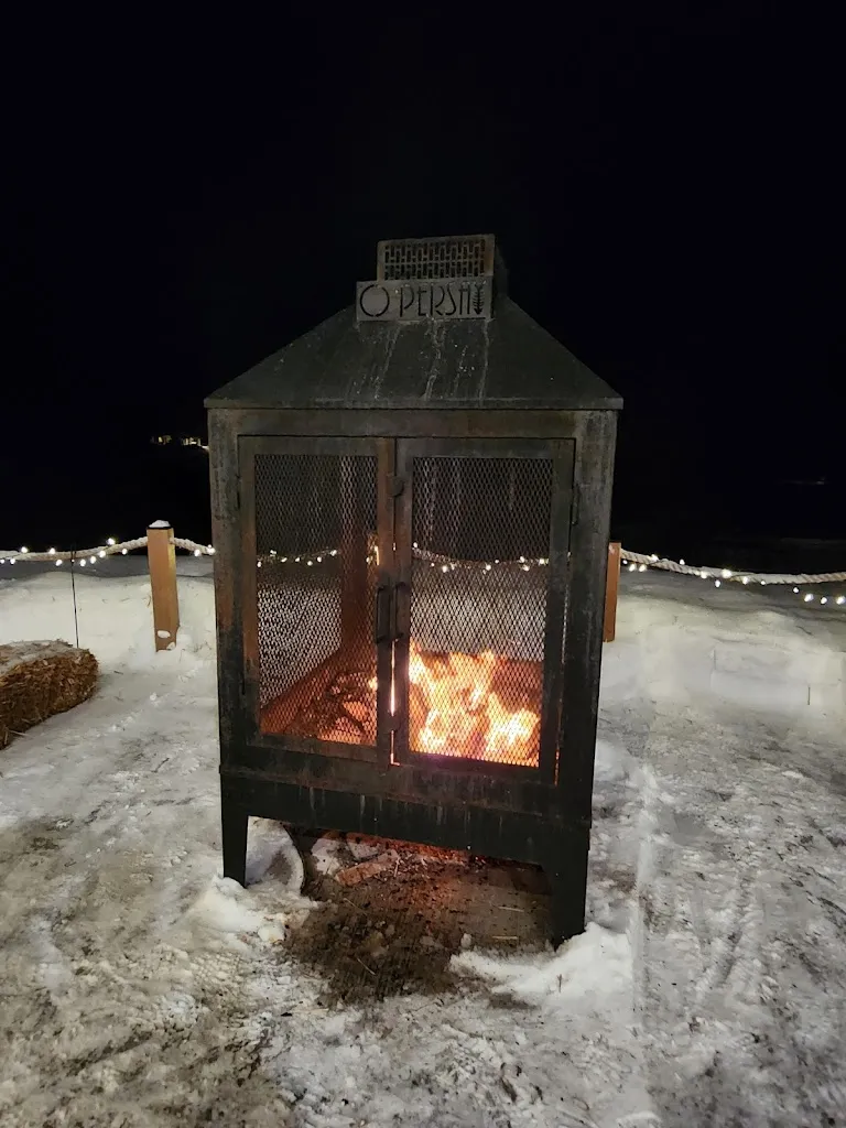 Joe Nimens_O Shack_Abitibi-Témiscamingue_reseña
