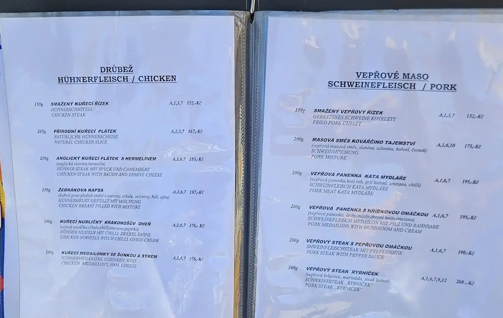 Menu_Restaurace Na Rybníčku Třeboň_Třeboň_image_1