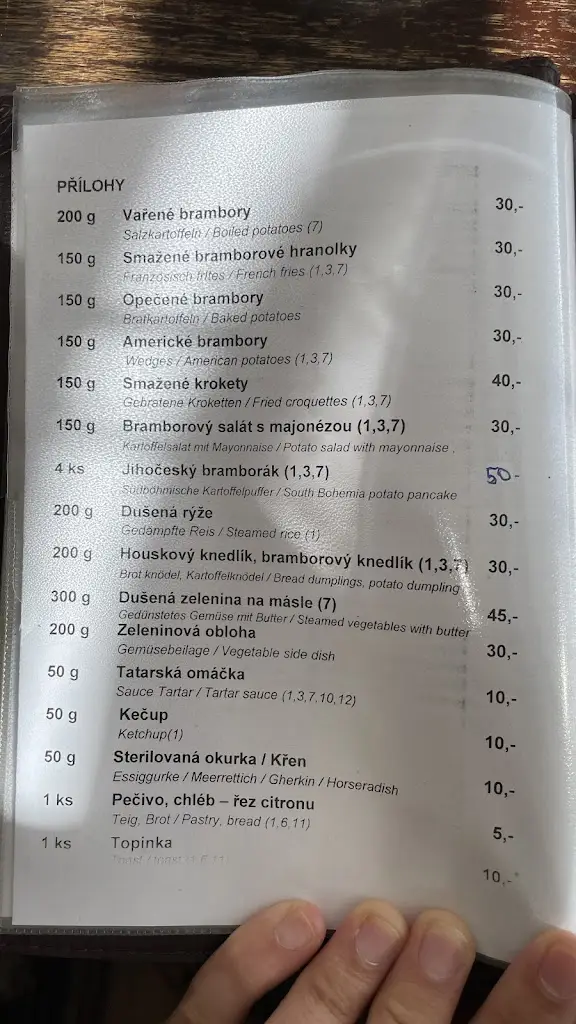 Menu_Restaurace U Kaštanu_Včelná_image_4