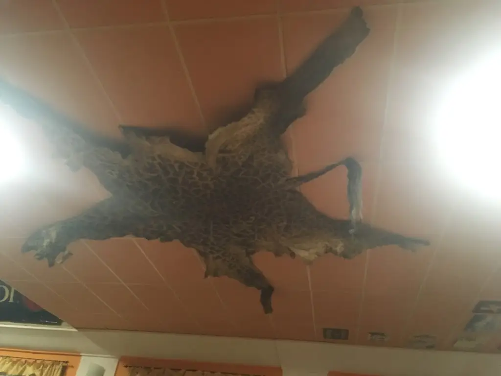 Prokop Simek_Vlkovská Hospoda_Veselí nad Lužnicí_review