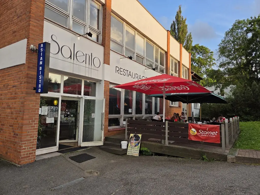 Honza Kolb_Asia Bistro & Sushi_Vimperk_review