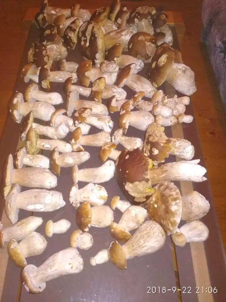 Menu_Pension Pod Pralesem_Vimperk_immagine_2