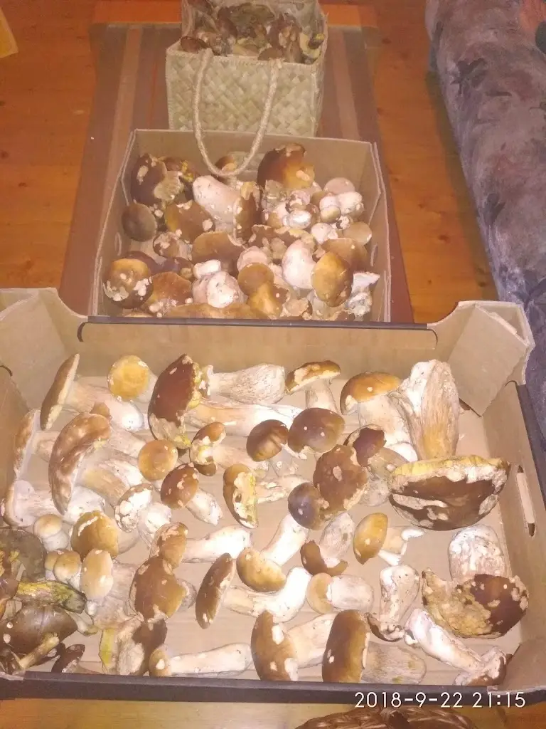 Menu_Pension Pod Pralesem_Vimperk_immagine_3