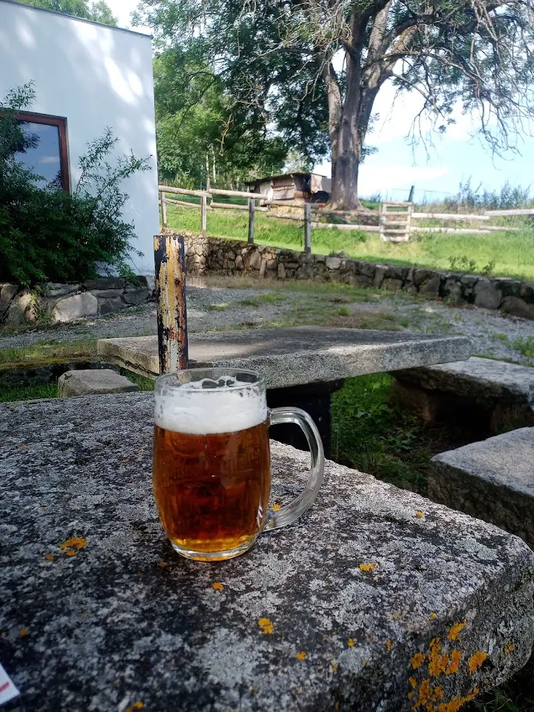 Menu_Pension Pod Pralesem_Vimperk_immagine_4