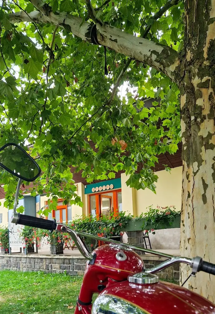 Pavel Pilný_Bistro Pura Vida Vodňany_Vodňany_review