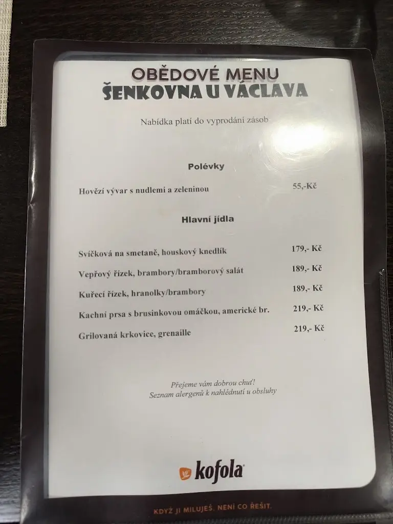 Menu_Šenkovna U Václava_Vodňany_immagine_1