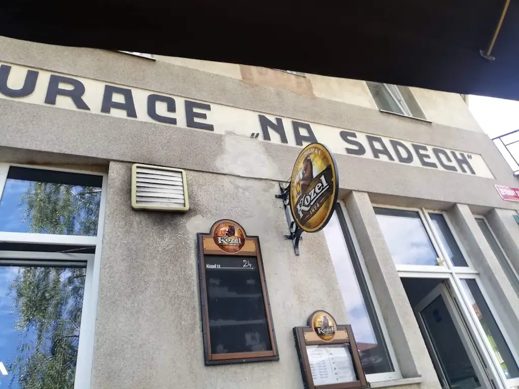 Iveta Honzová_Na Sadech_Vodňany_review