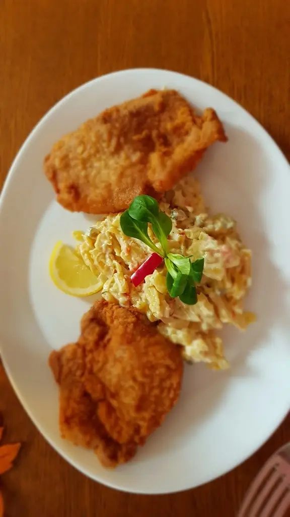 Menu_Restaurace Na Radosti_Vodňany_immagine_5