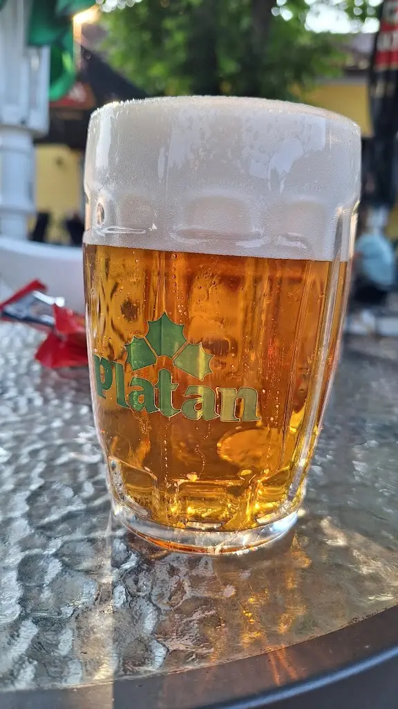 Otakar Knoflik_Restaurace Na Radosti_Vodňany_recensione