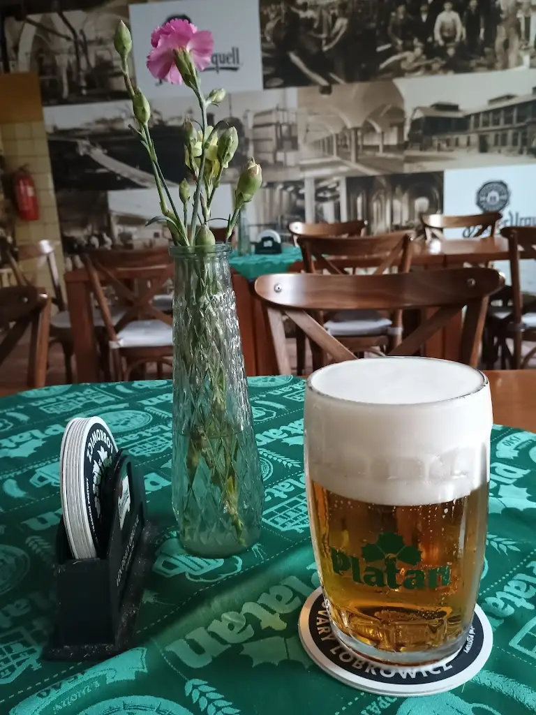 Ondřej Šmíd_Pivnice Pod Věží_Vodňany_recensione