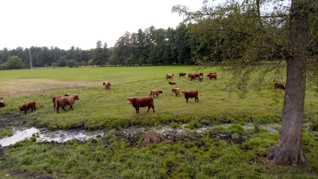 Občerstvení Přechovice u Volyně_Volyně_slider_image_1