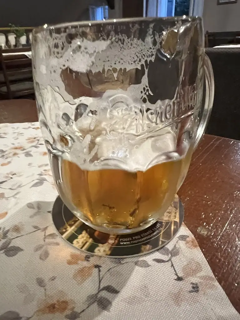 Adelina Popescu_U Potůčku_Volary_review