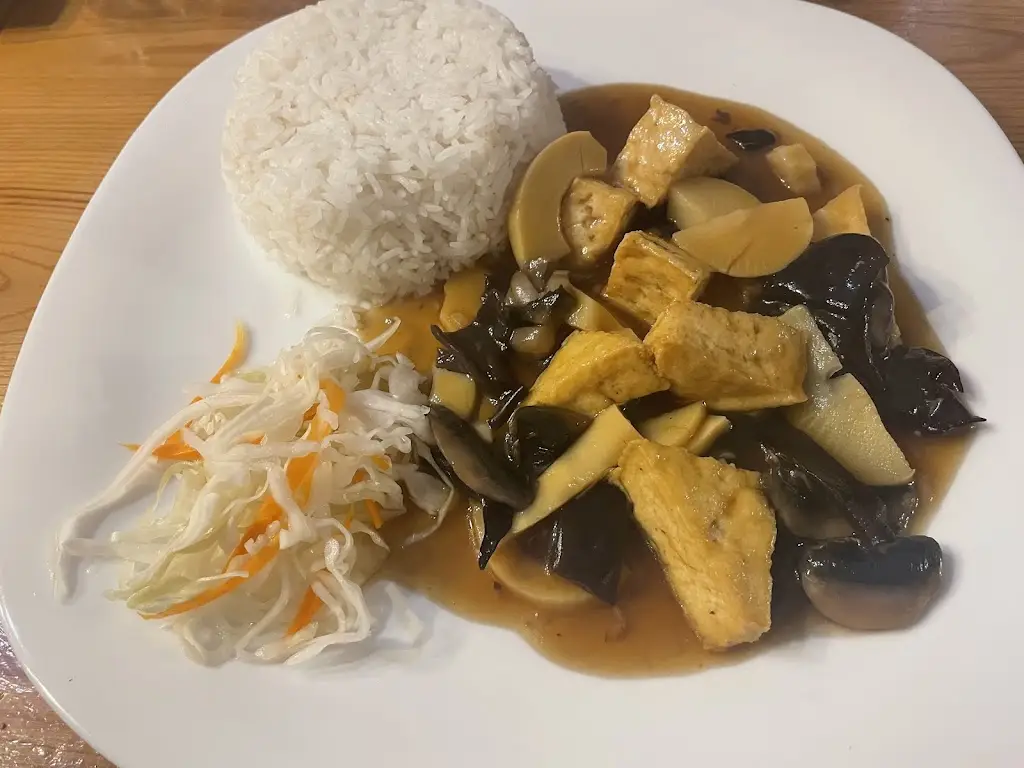 J ČK_Restaurace Asia_Volary_recensione