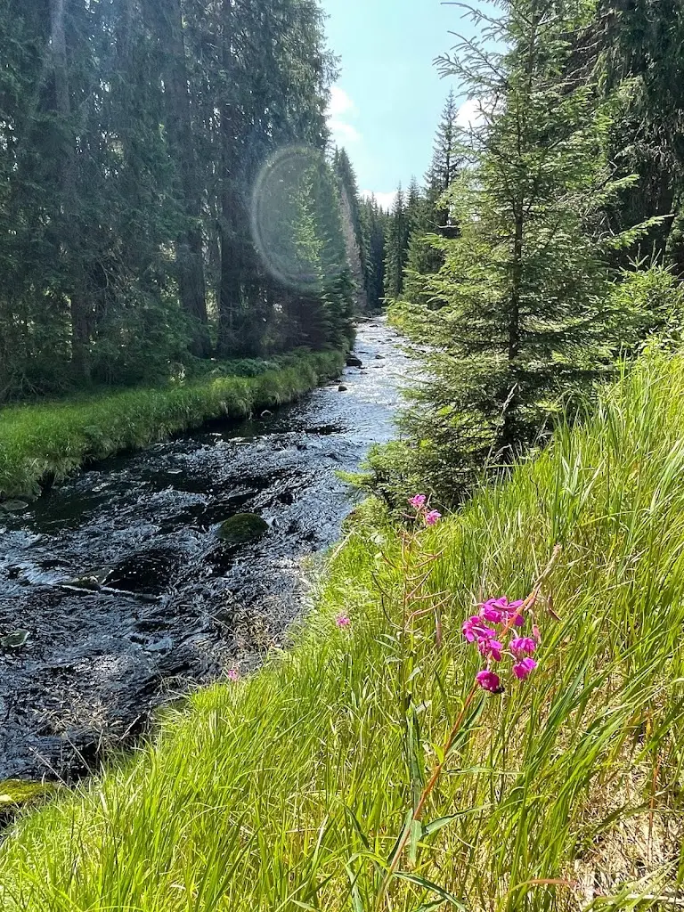 StR Sepp Sailer_Apartmány Andrea_Zdíkov_recensione