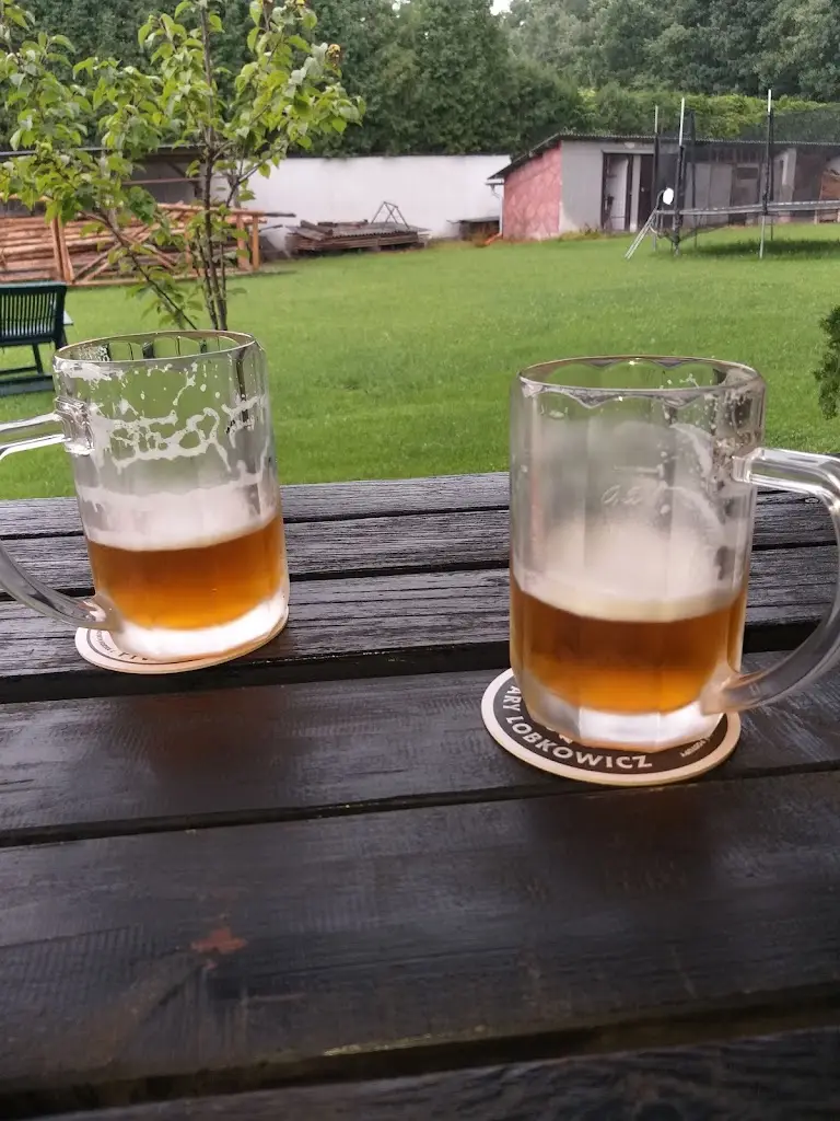 Karel Štědrý_Myslivecká Chata Zliv_Zliv_review