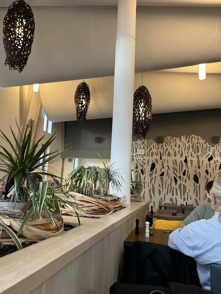 Roman Bělonohý_Restaurace Hnízdo_Blažovice_review