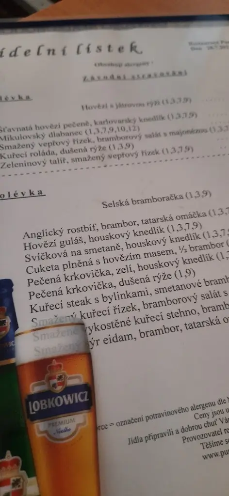 Menu_RESTAURACE PUNKVA Blansko_Blansko_immagine_1