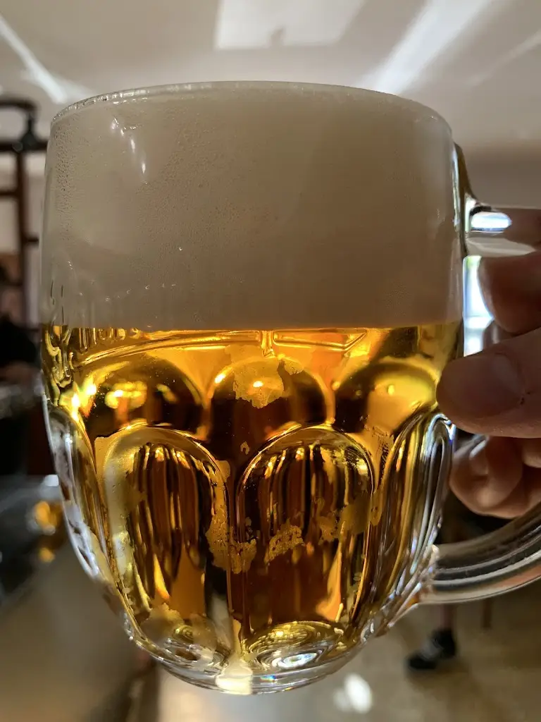 Adis Borek_Plzeňská pivnice Nápustek_Blansko_review