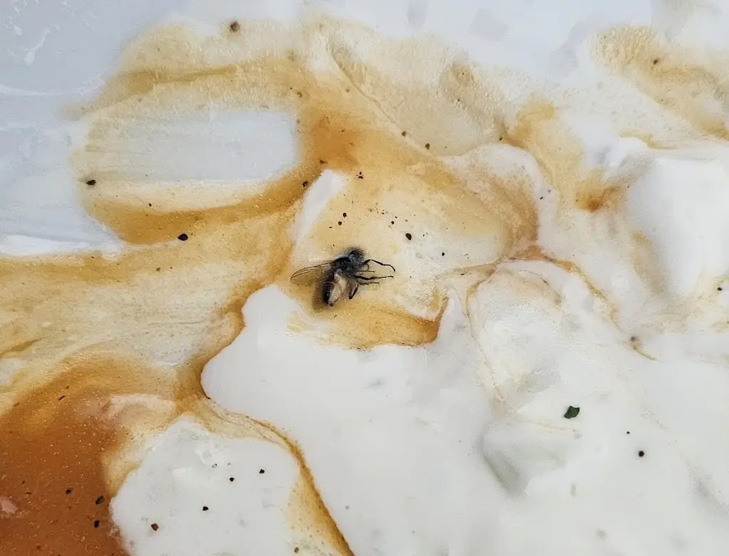 Roman Sedlák_Restaurace Grand_Blížkovice_review