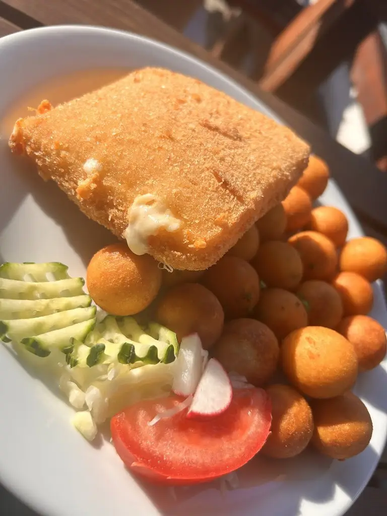 Gabor Hausel_Restaurace Březí vlk_Blížkovice_review