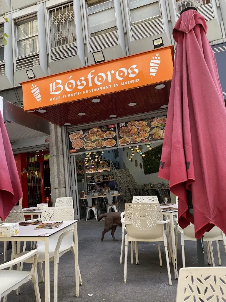 koshan farsiyan_Bosforos Turkish Restaurante Montera // Restaurante turco 100% Halal_Borek_review