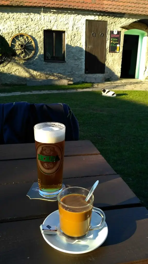 Menu_Restaurace U Čamra_Blížkovice_immagine_5