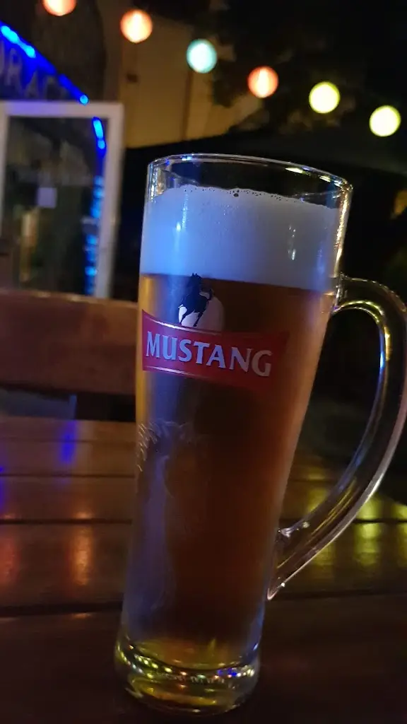 Menu_Blue Queen_Blížkovice_immagine_4