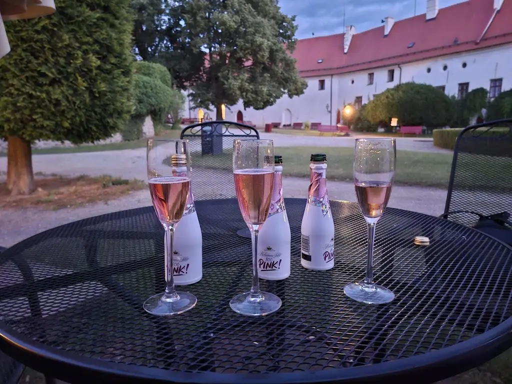 Dana Svobodová_U Barona Haase_Blížkovice_recensione